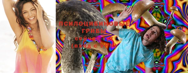 а пвп мука Аркадак
