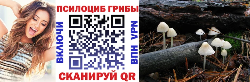 как найти закладки  Мышкин  Псилоцибиновые грибы Cubensis 